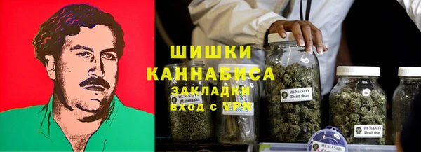 PSILOCYBIN Баксан