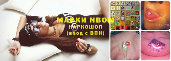 стаф Балахна