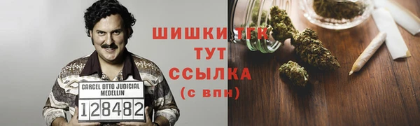 PSILOCYBIN Баксан