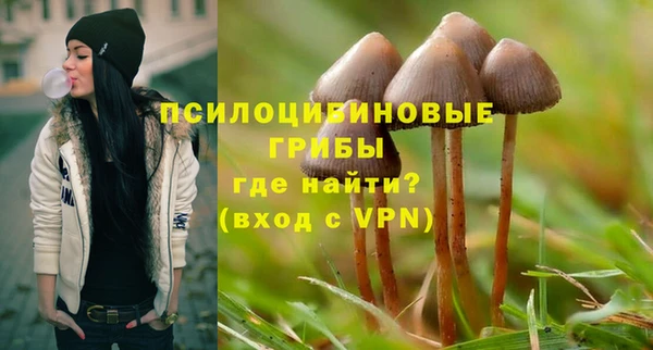 стаф Балахна
