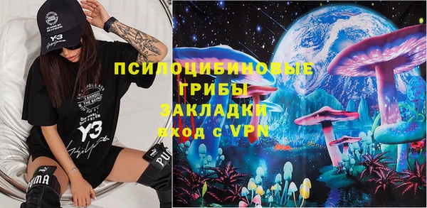 PSILOCYBIN Баксан