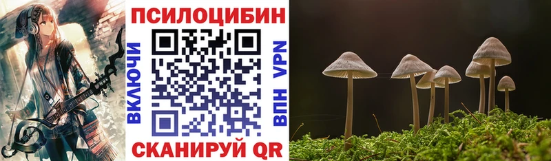 Псилоцибиновые грибы мицелий  MEGA   Козельск  купить  цена 
